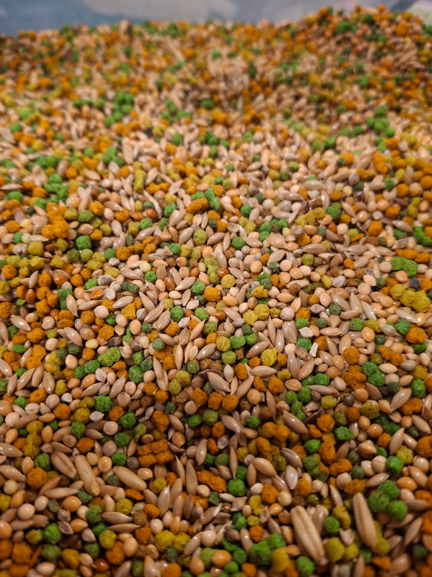 Gárafóðurblanda 1kg - Fugladegur