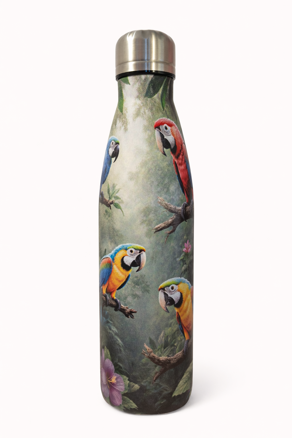 Stálbrúsi - Macaw