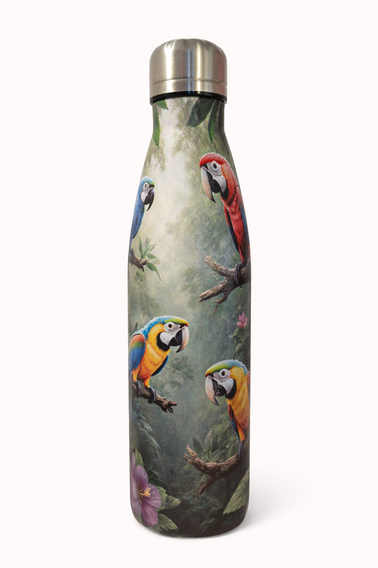 Stálbrúsi - Macaw